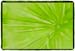 Pinetree